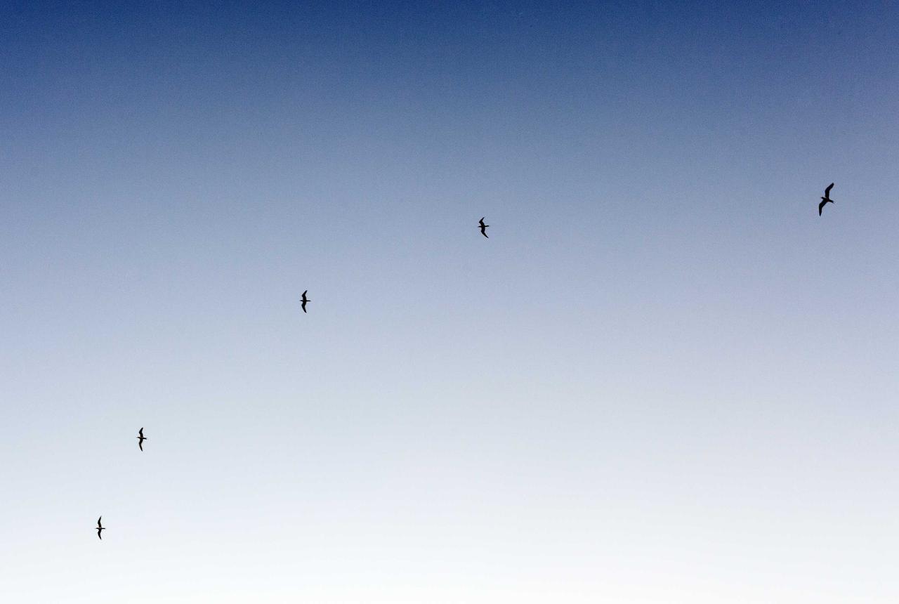 علاج طفل مريض يحتاج تدخلاً عاجلاً